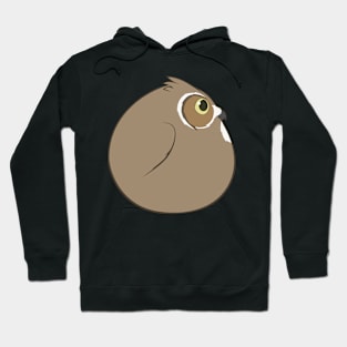 Bird Ball - Great Horned Owl Hoodie